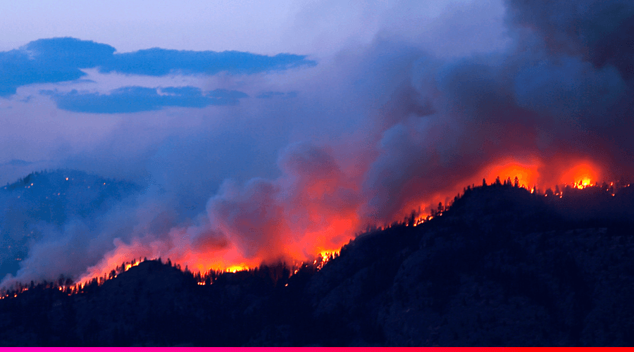Cómo afectan los incendios forestales al medio ambiente