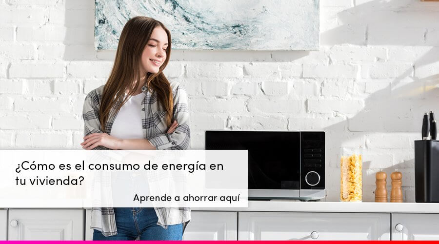 Consumo de electrodomésticos ¿Cuál gasta energía?